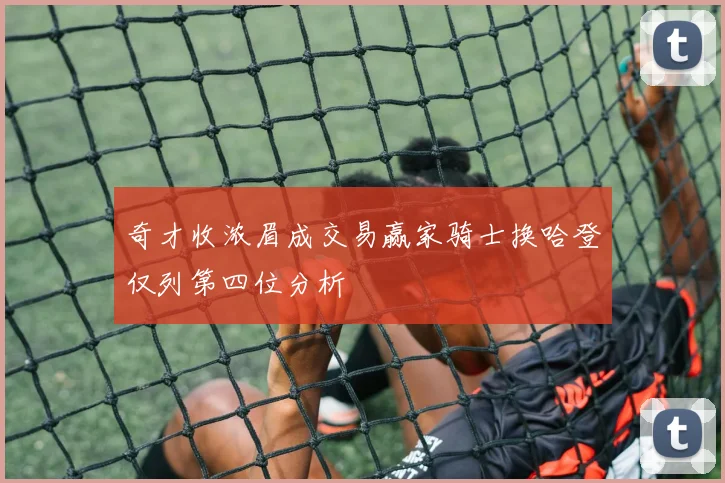 奇才收浓眉成交易赢家骑士换哈登仅列第四位分析