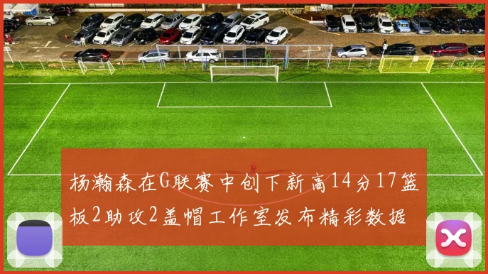 杨瀚森在G联赛中创下新高14分17篮板2助攻2盖帽工作室发布精彩数据海报